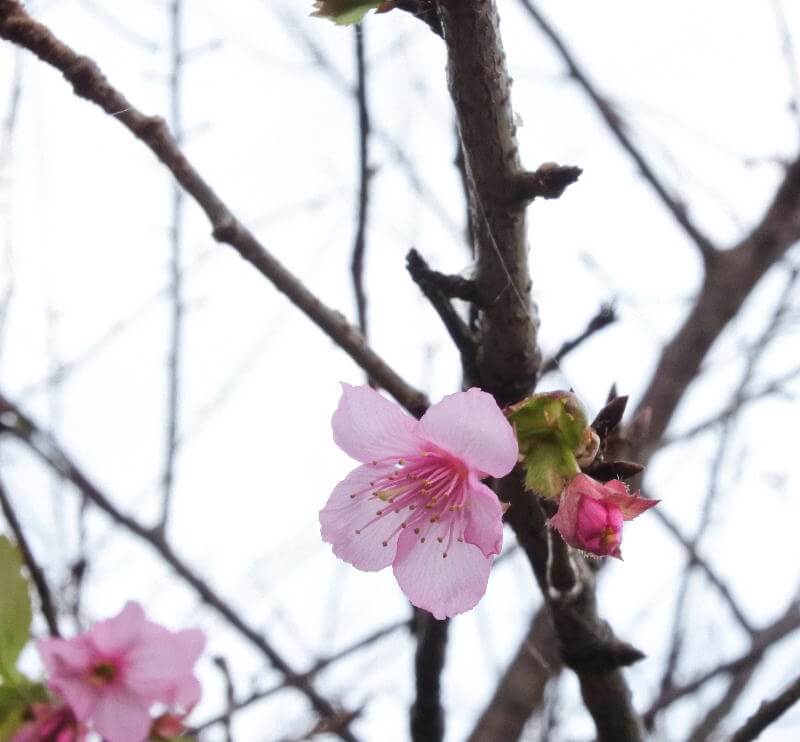 DSC_1946(修正)