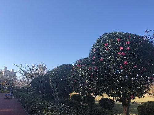 IMG_1456(修正)