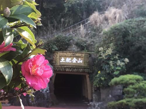 IMG_1455(修正)