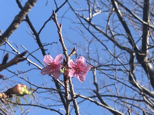 IMG_1450(修正)
