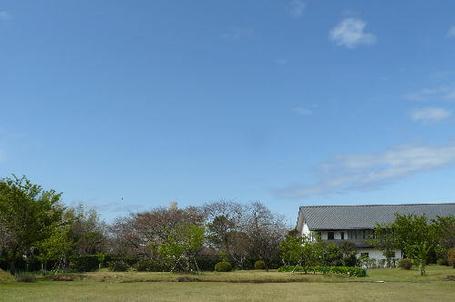 青空