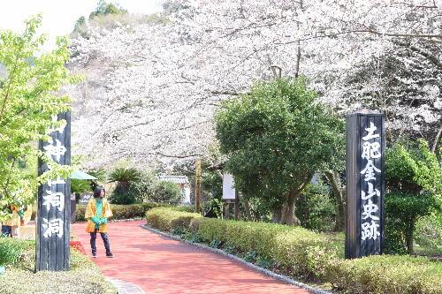 DSC_0547縮小