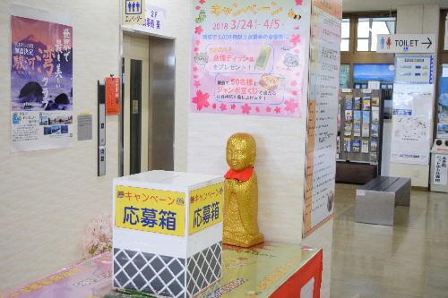 DSC_0556縮小