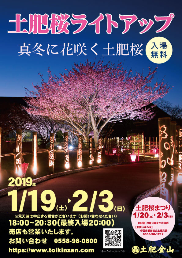 土肥桜ライトアップ