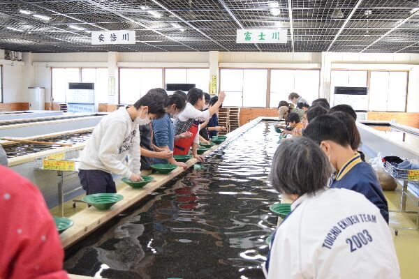 DSC_0181縮小