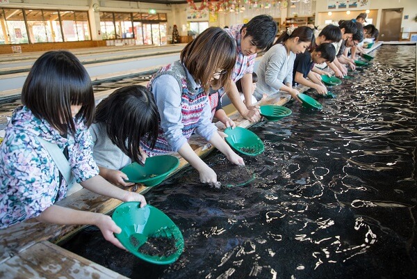 砂金採り体験②