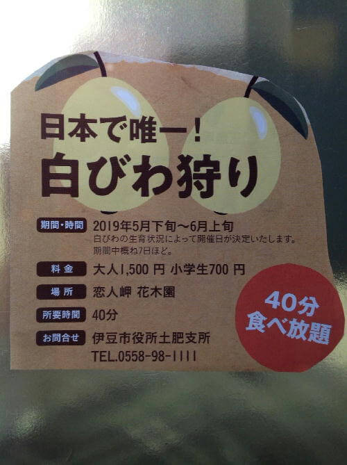 2019.5.10.4済